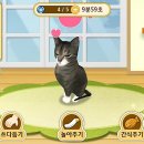 고양이다방