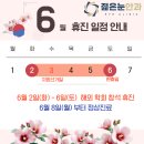 젊은눈안과의원 네이버블로그