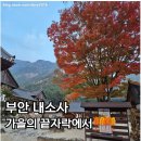 소노벨 변산 | [변산 1박2일] 내소사 단풍길과 소노벨변산 숙박 후기🌊