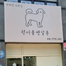원더풀펫살롱 네이버블로그