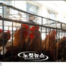 태진농장 이미지