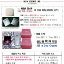 MSM 이미지