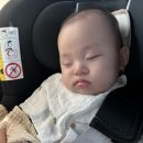 차모두 | 다이치 에어포켓4 후기, 카시트 유아차 모두 쓰는 아기 통풍시트 재구매