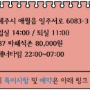 곽지몬스터캠핑 이미지