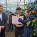 신부시장 이미지