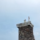 삼달교차로 3 이미지