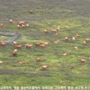 방화목장 이미지