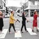 헤어보브 이미지