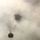 벌과 사람 이미지