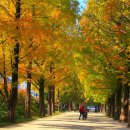 담양청솔 이미지