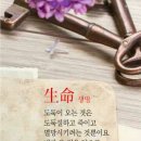 리젠트공인중개사사무소 이미지