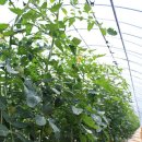 만회농장 이미지