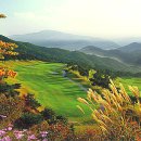 오션힐스 골프 & 리조트 이미지