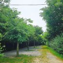 연식목장 이미지