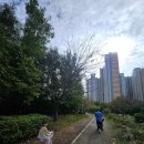 은여울공원 | 아이들과 산책하기 좋은 김포 마산동 은여울공원.