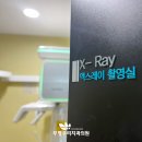 동일치과의원 이미지