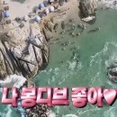 봉포안녕