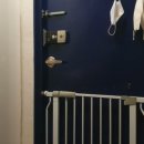 이츠펫 본점 이미지