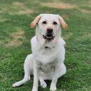 멍구야 놀자 이미지