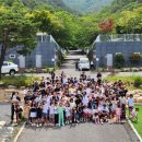 형수농장 | 25.6.6~8 경주 포레스트캠프 폴딩트레일러 캠핑 후기