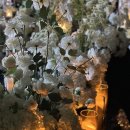 하루언니 | 더파티움 안양에서의 특별한 하루: 동기 언니 결혼식 다녀온 후기❤️안양 웨딩홀 추천!