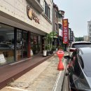 미뇽 캣 이미지