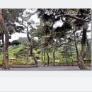 기룡솔밭 이미지