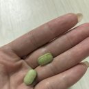 새싹슈퍼 | 간편한 자기관리 슈퍼푸드 조합 누리데이 브로콜리새싹 흑마늘 후기