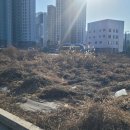 롯데이음공인중개사사무소 이미지