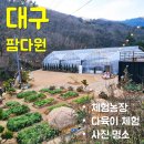 준아농장 | 대구 팜다원에서 아이와 다육이 체험했어요