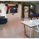 까멜리아 이미지