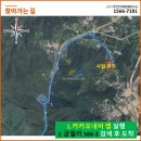 금월리 태양광발전소 이미지