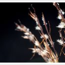 (주)소리아이 이미지