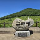 (232차) 6월 21일 강원 인제 점봉산 곰배령 정기산행 안내 이미지