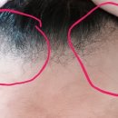 내가본헤어샵 - 중구 | 내가본헤어샵