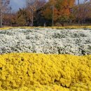 의좋은형제 공원 이미지