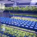 수정동농장 이미지