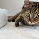 뿌리민박 이미지