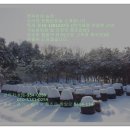 영욱이네농장 네이버블로그