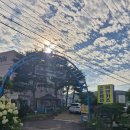 에덴의 정원 | 강화수영장펜션 에덴의정원 가족여행 대성공