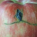 개구리PC방 이미지