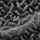 닥터준치과의원 이미지