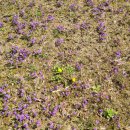 뇌건강지도사 2급 자격과정 이미지