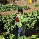 예주농장 이미지