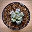 백옥농장 이미지