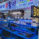 삼척초교 | 2025 IBK 배 전국 중고 배구대회 개최 알림