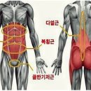 위니드필라테스