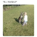마비에(mavie)