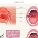 편도 부었을때 약 아이스크림 음식 편도가 아파요 이미지