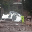 우면산5-8 이미지